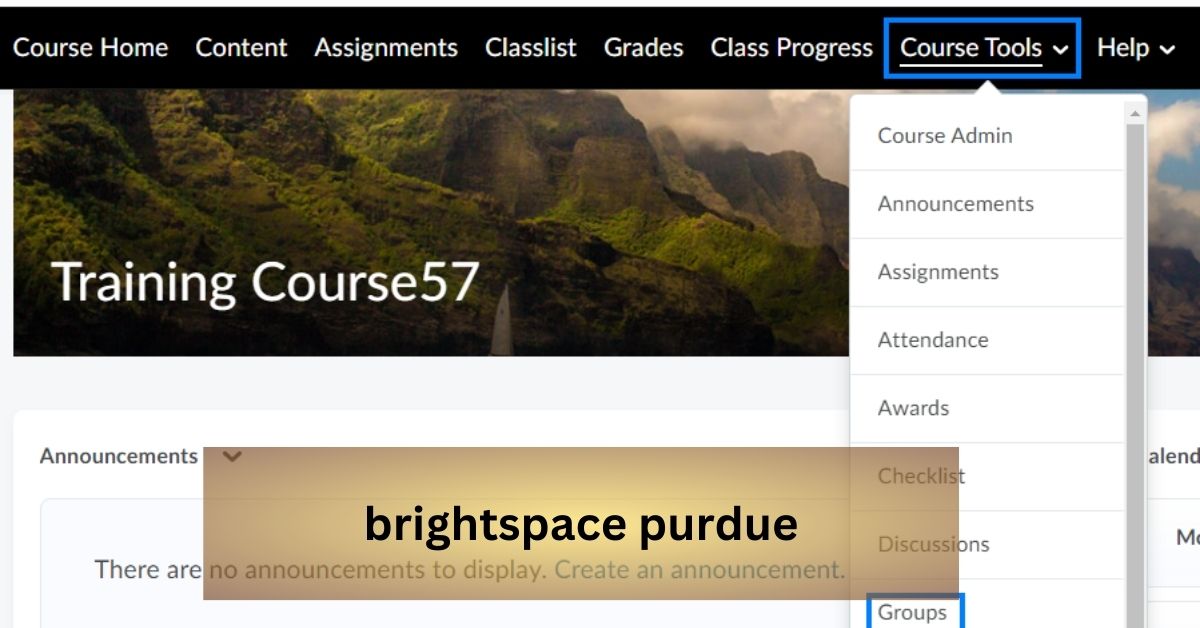 brightspace purdue
