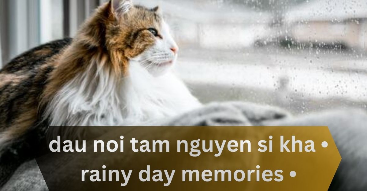 dau noi tam nguyen si kha • rainy day memories • 2023