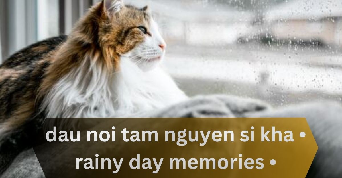 dau noi tam nguyen si kha • rainy day memories • 2023