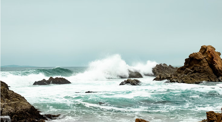 From Beaches to Bushwalks: Adventures for Every Type of Traveller in Batemans Bay